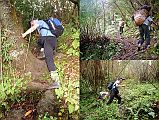 107 Jerome Ryan And Crew Climbing Thru Steep Forest To Shepherds Kharka �In places it was so steep that it virtually amounted to climbing through semi-vertical jungle.� (Lionel Terray, Conquistadors of the Useless).I could tell it was very steep when the porters even went on all fours to climb thru extra steep parts of the loose, muddy trail.
